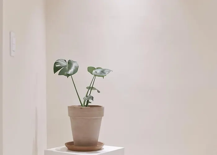 White Linen House ソウル特別市